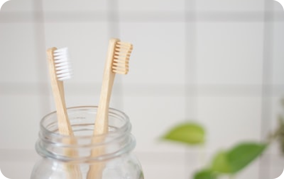 歯ブラシの写真